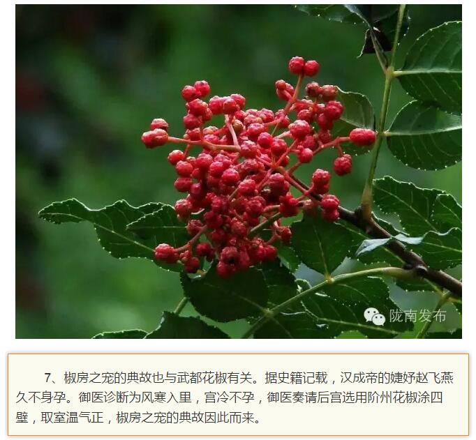 蘭渝鐵路最早由孫中山先生提出？在隴南，你不知道的事兒還有……