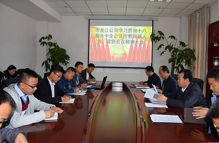 市龍江公司召開全體員工大會，專題傳達學(xué)習(xí)上級會議精神