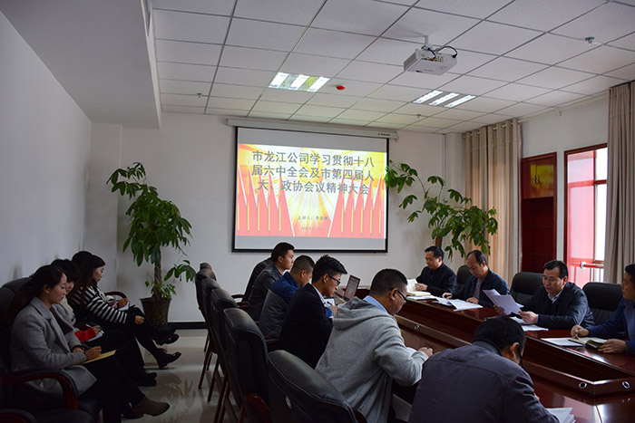 市龍江公司召開全體員工大會，專題傳達學(xué)習(xí)上級會議精神