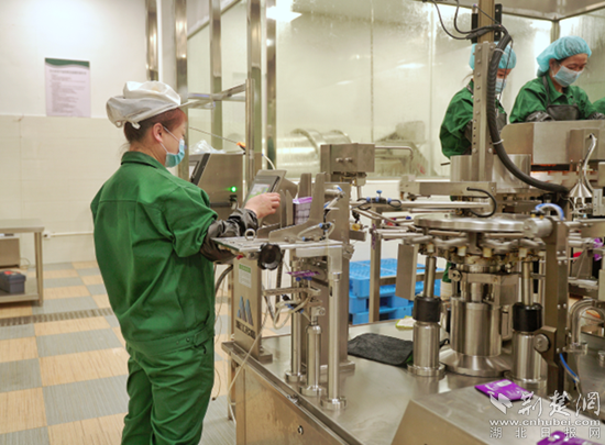 興龍生態(tài)觀光工廠。通訊員 劉承群 供圖_副本.png.png