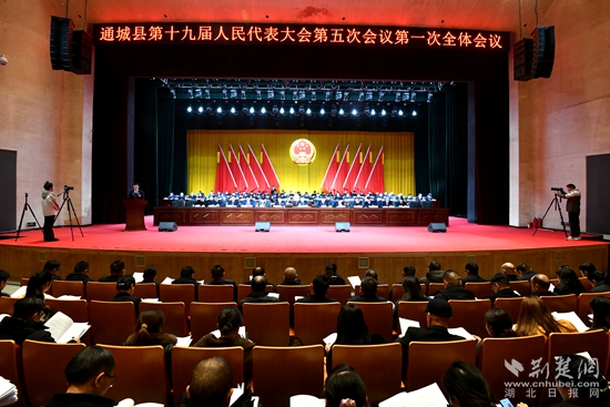 通城兩會1.jpg