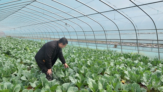 通山 農業(yè)1.jpg