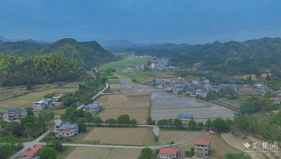 通山 農業(yè)2.jpg