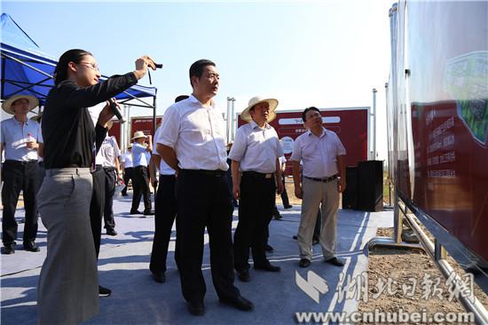 IMG_6587.jpg IMG_6587.jpg