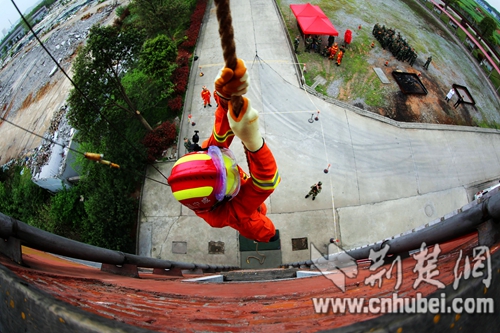 000000000.jpg 000000000.jpg