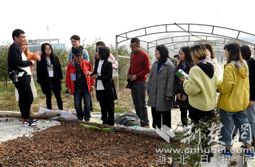 QQ圖片20181201230555.jpg QQ圖片20181201230555.jpg